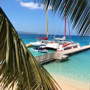 Meet your Posher, Carlye